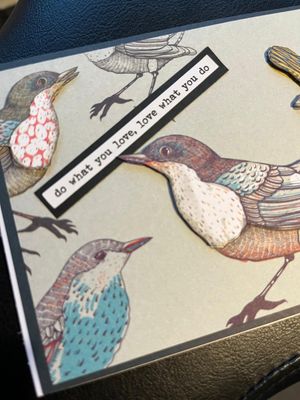 3D Birds