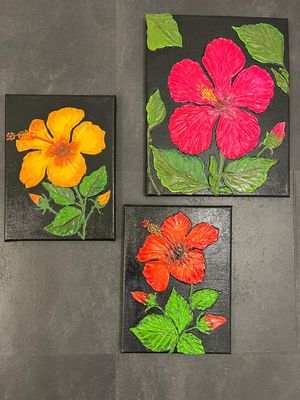 Hibiscus 3 couleurs ensemble