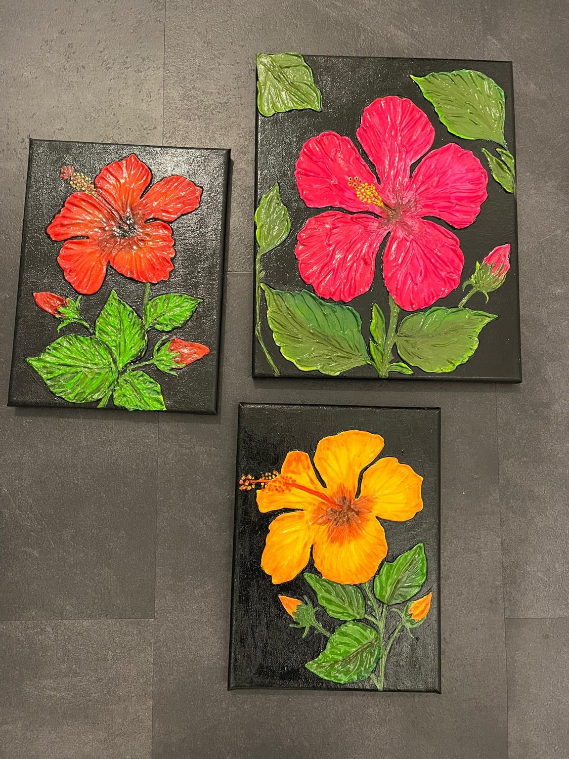 Hibiscus 3 couleurs ensemble