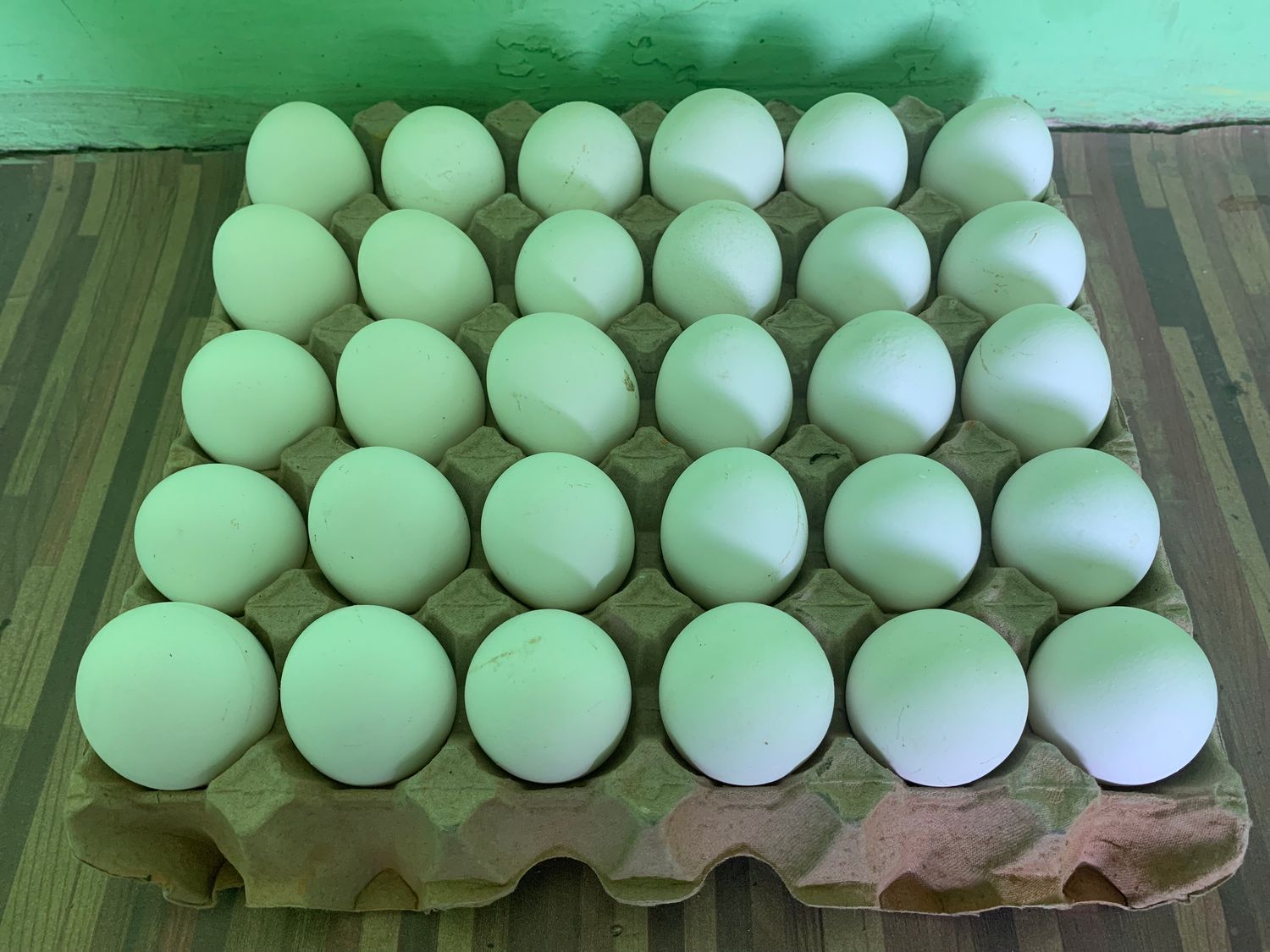 White Chicken Eggs