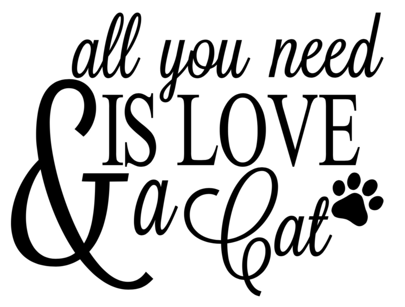 11&quot;x16&quot; stencil for paint party