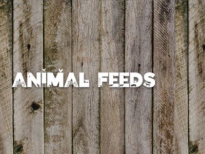 Animal Feed