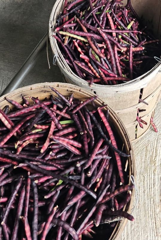 Unshelled Buschel Purple Hull Peas