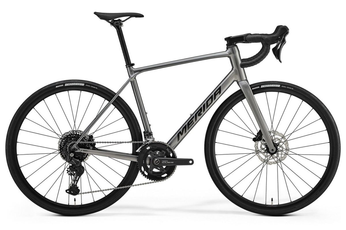 Merida Scultura Endurance 300 Dark Silver