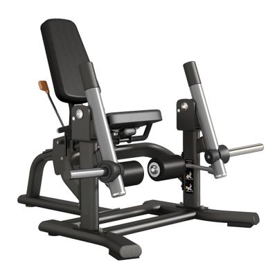 FWX-9400 LEG EXTENSION CARICAMENTO A DISCHI