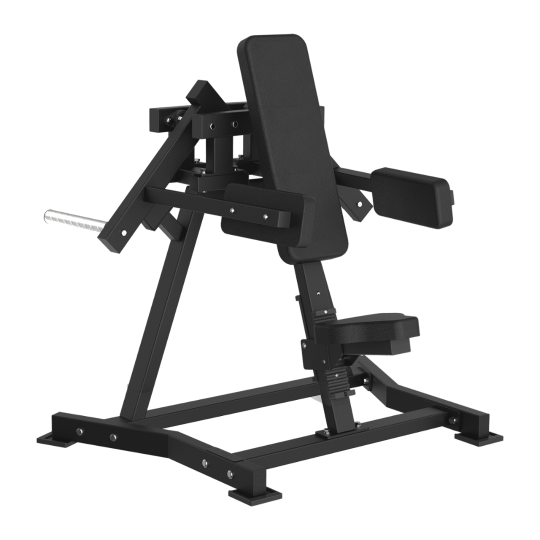 FWX-6500 LATERAL RAISE CARICAMENTO A DISCHI