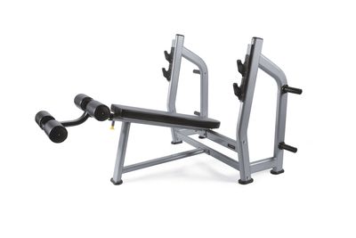 WBX-3600 PANCA DECLINATA OLYMPICA