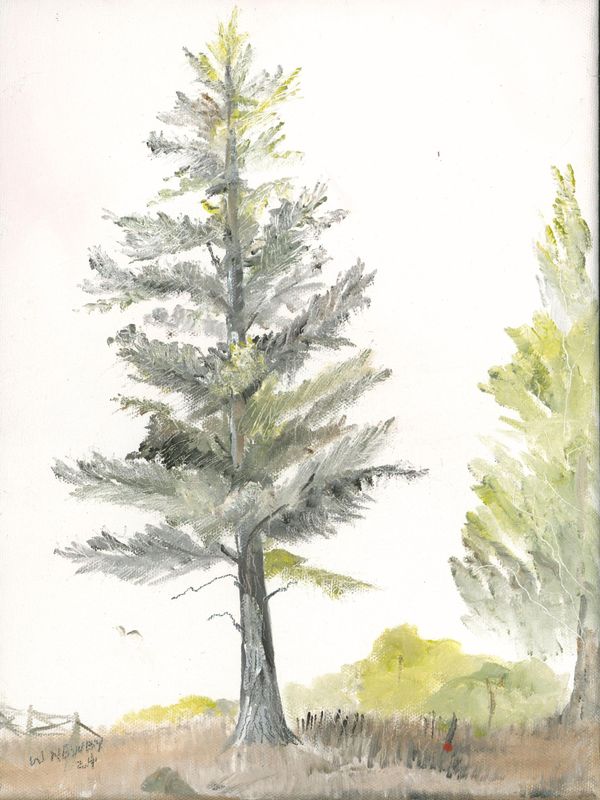"Single Pine"