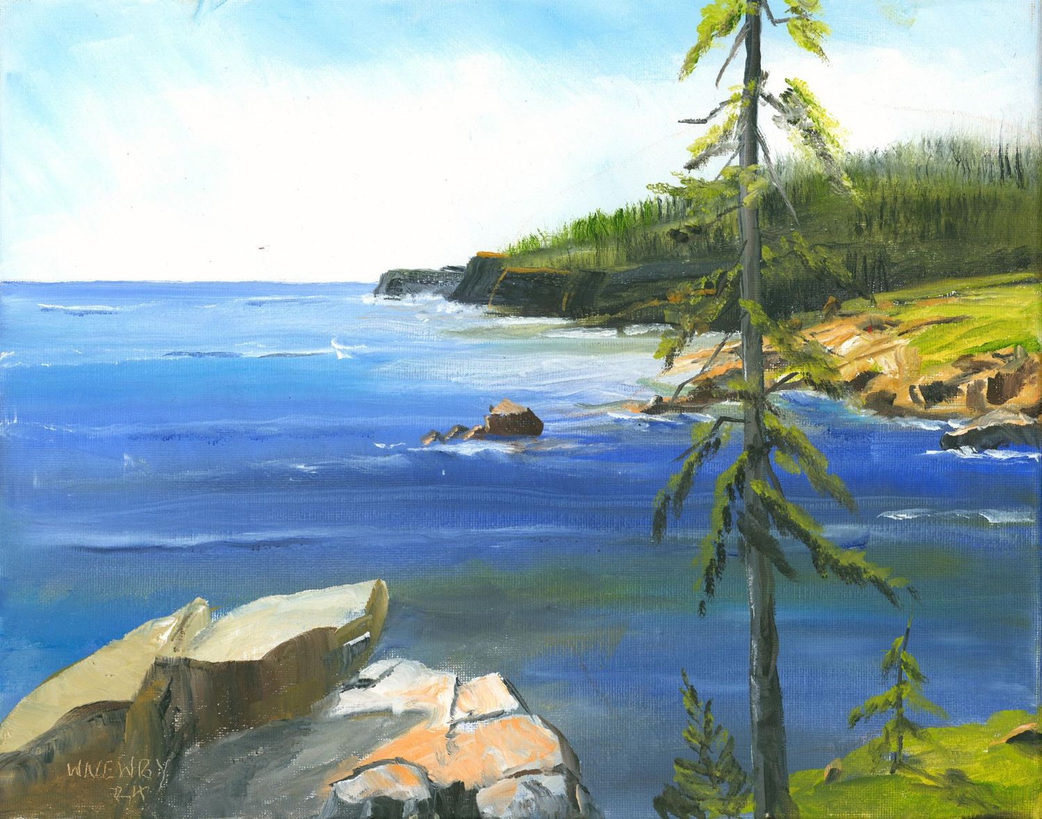 "Ocean Overlook"