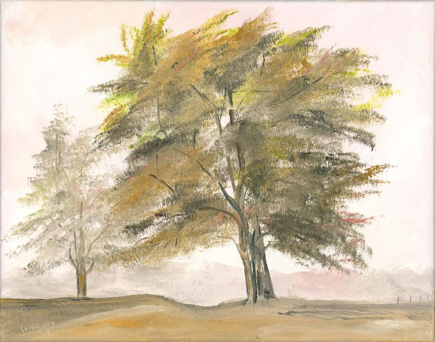"Wide Tree"