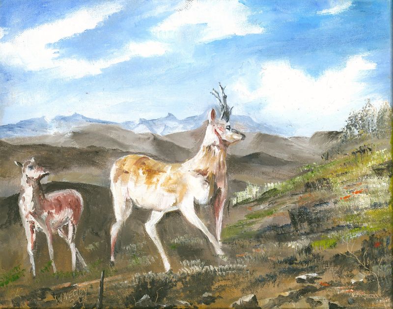 "Proud Buck"