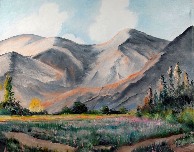 "Poppies in the Valley"
