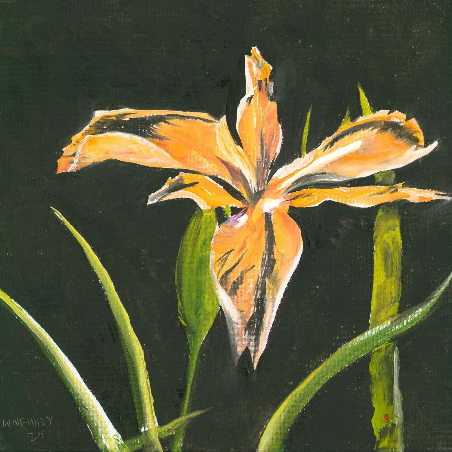 "Bloom IV"