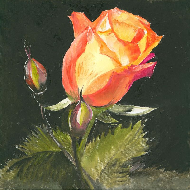 "Bloom V"