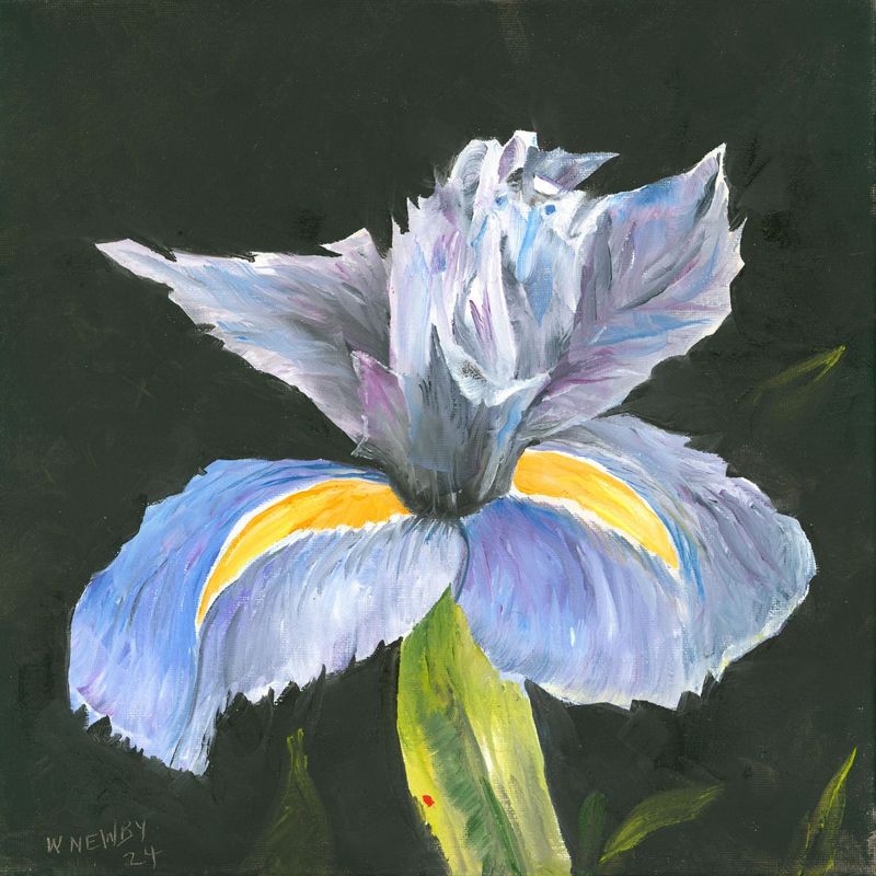 "Bloom III"