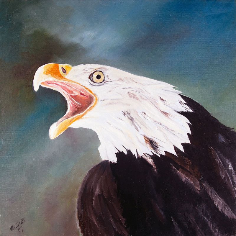 "Eagle"