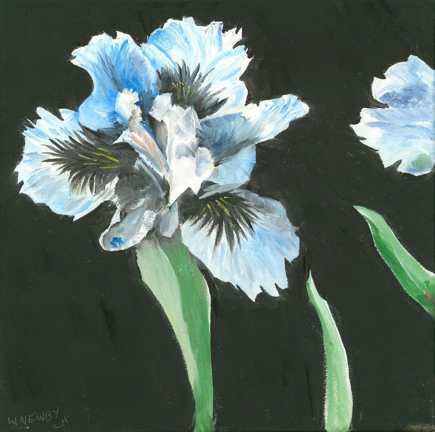 "Bloom VI"