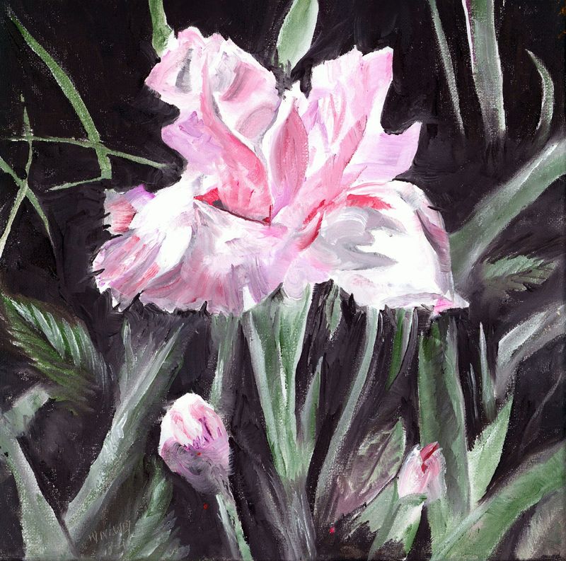 "Bloom VII"