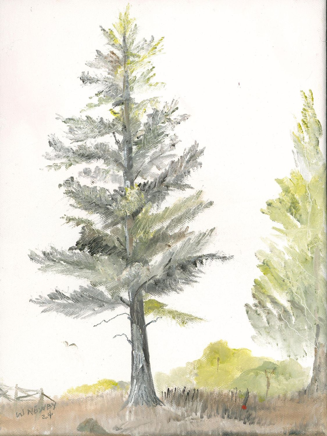 "Naked Tree I"