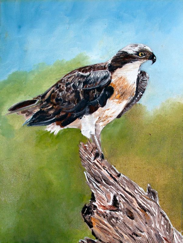 "Quite a Perch"