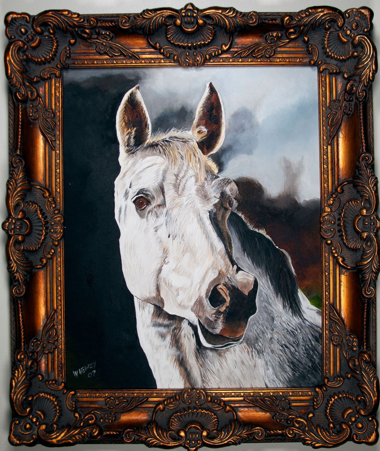 "Handsome Equine"