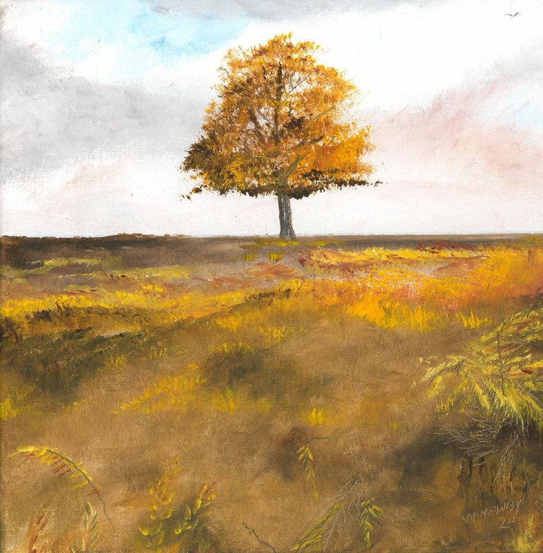 "Amber Beauty"
