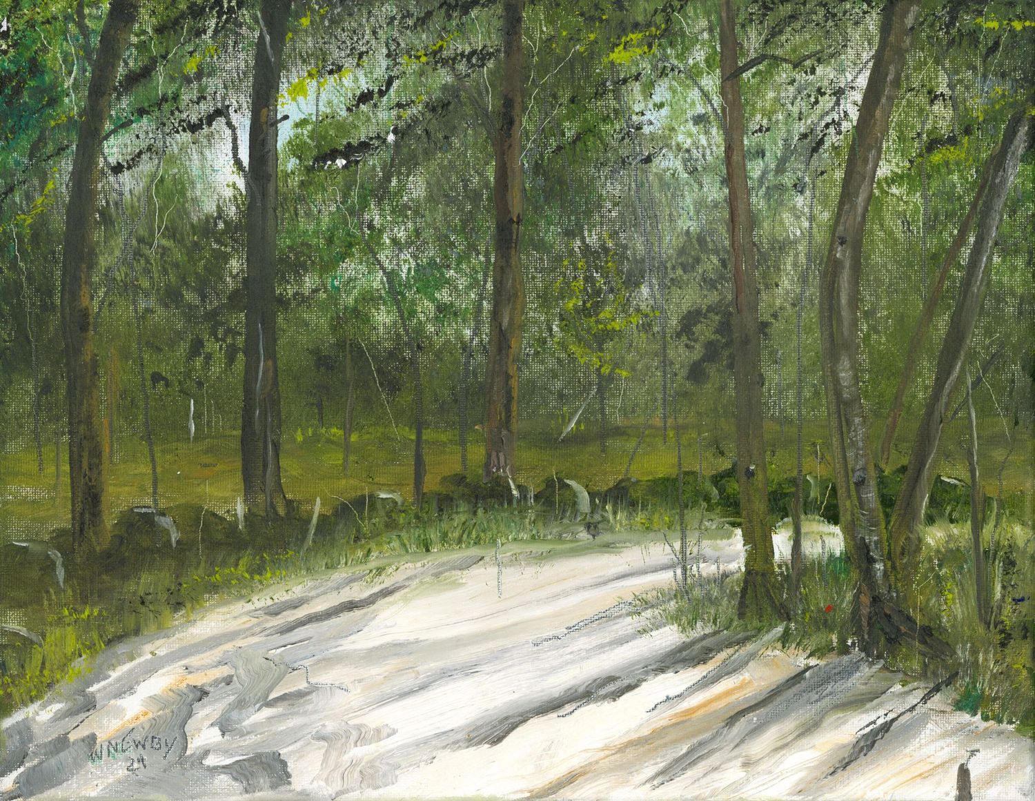 "Shadowy Path"