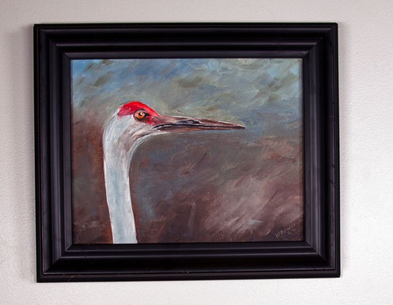 "Bird Profile"