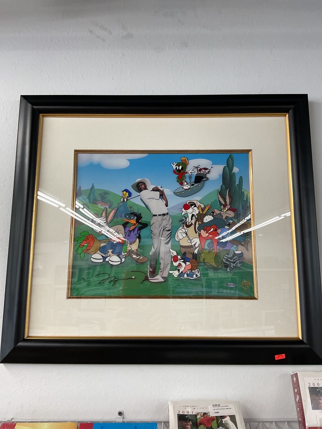 Michael Jordan Autographed Looney Toons Display Piece /750 Warner Brothers Authentic
