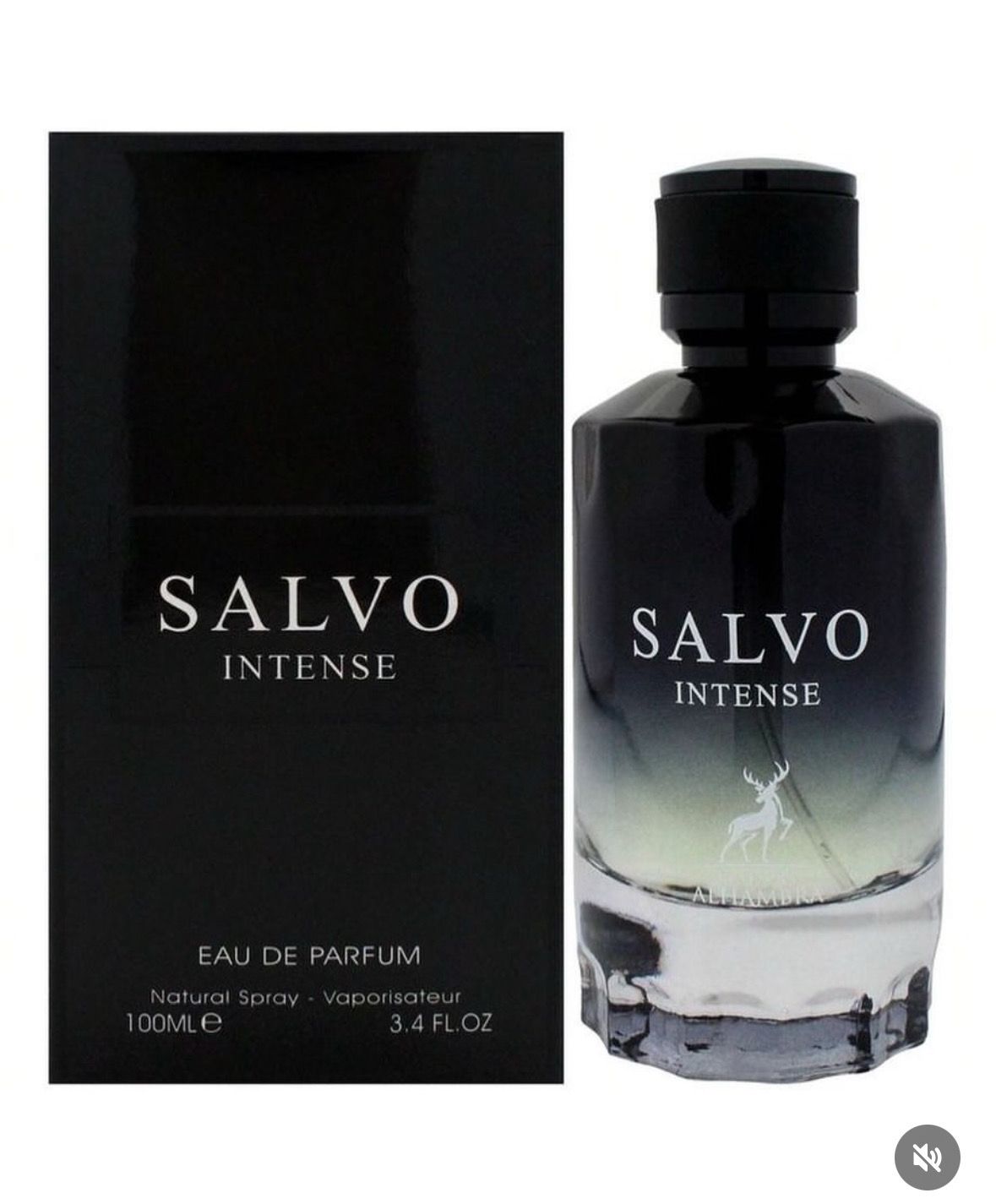 SALVO