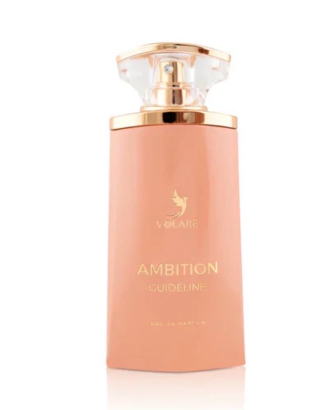 AMBITION GUIDELINE