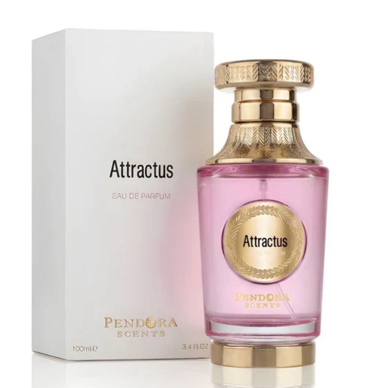 ATTRACTUS ATTRACTUS