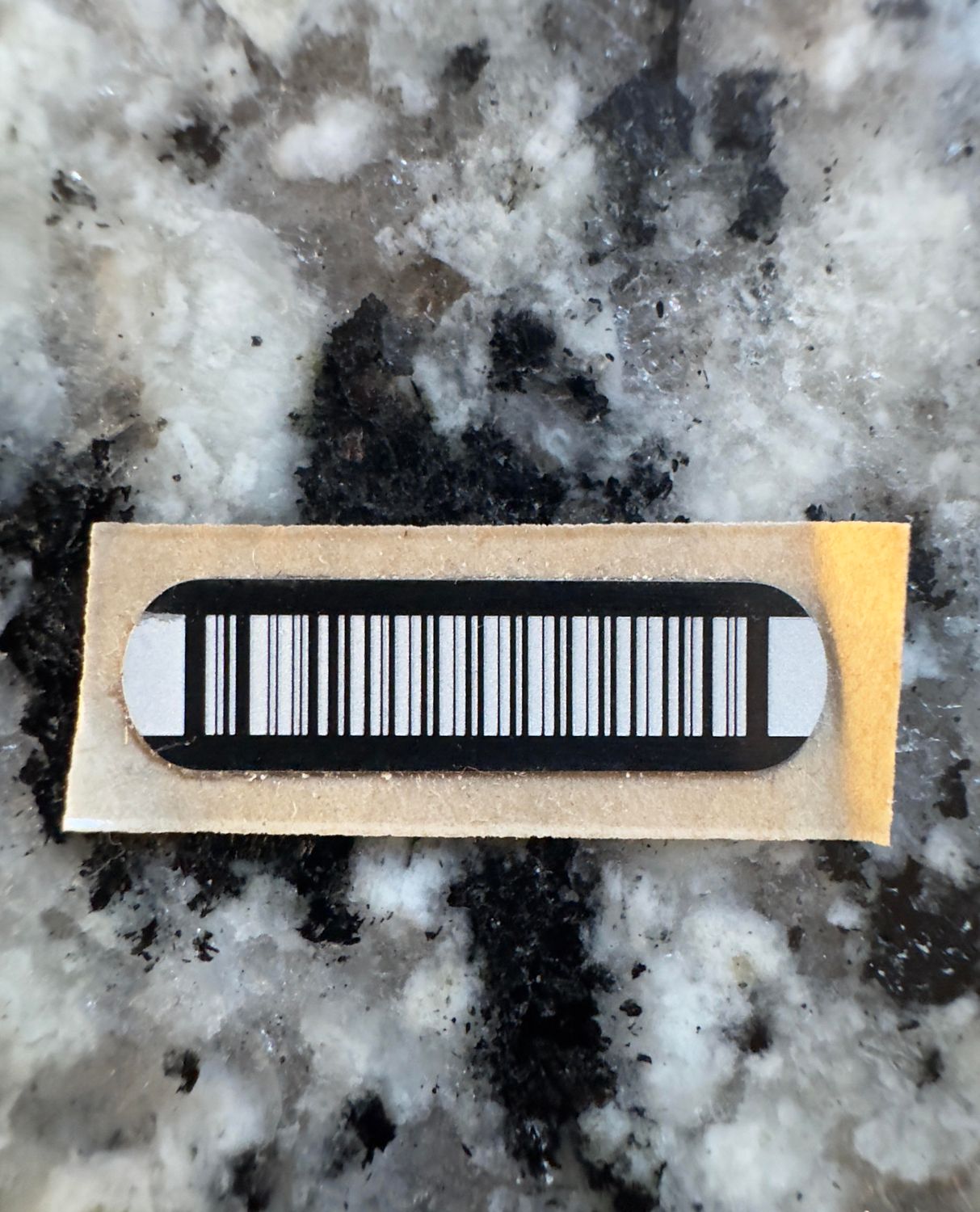 Capsule UID