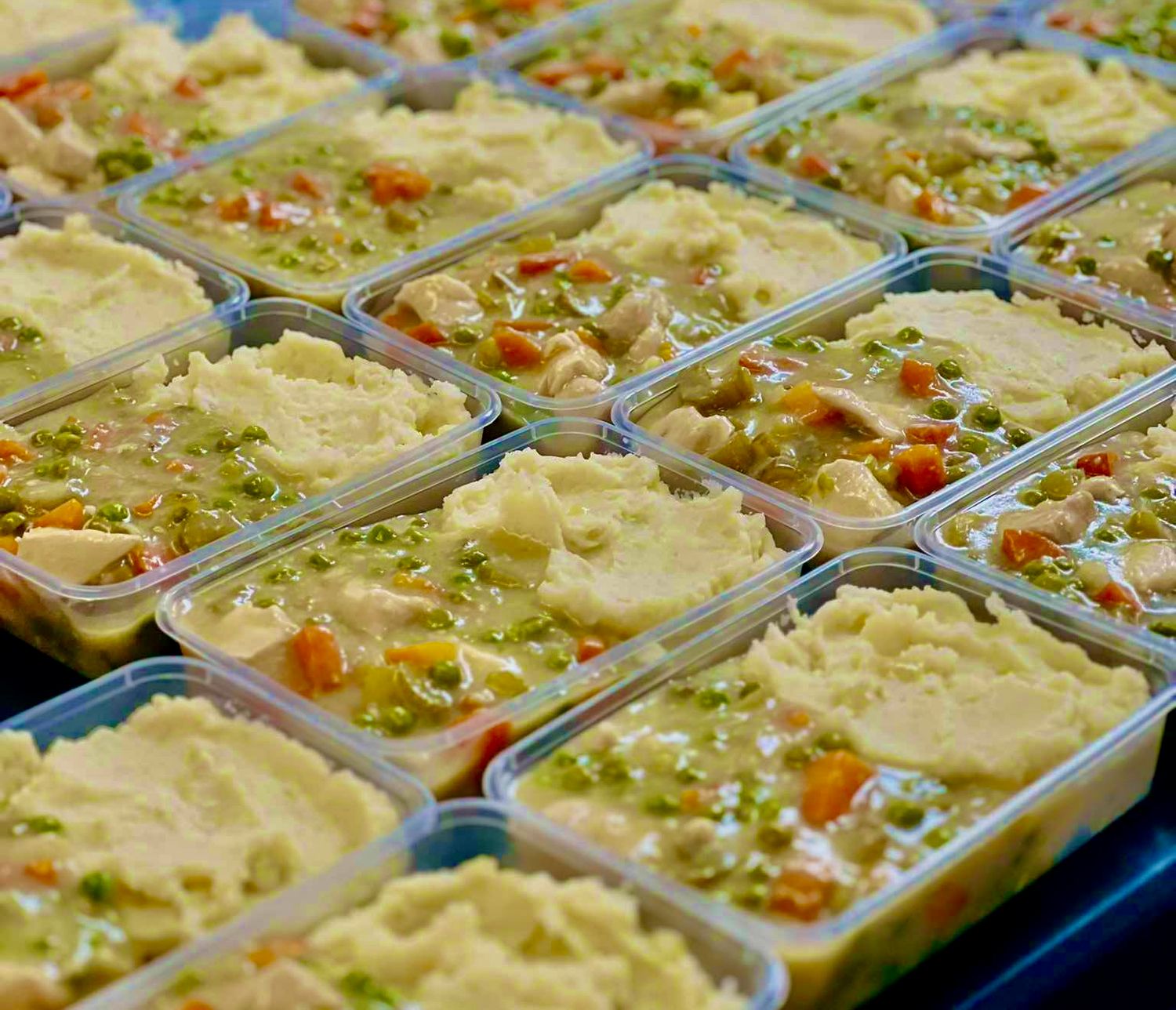 Frozen Creamy Chicken Casserole in reusable container