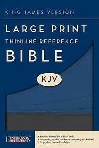Large Print Thinline Reference Bible