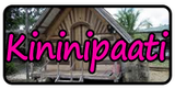 Kininipaati