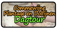 Commewijne plantage en dolfijnentocht (dag tour)