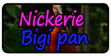 Nickerie + Bigi Pan