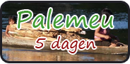 Palumeu (5 dagen)