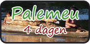 Palumeu (4 dagen)