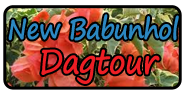 New Babunhol (dag tour)