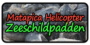 Matapica (zeeschildpadden) &amp; Helicopter volledig verzorgd (2dagen)