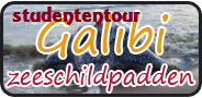 Studenten! Galibi Tour + Frans Guyana (volledig verzorgd)