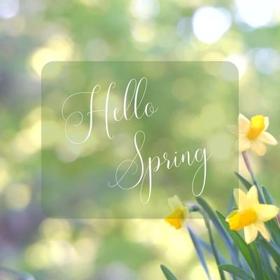 SPRING Collection