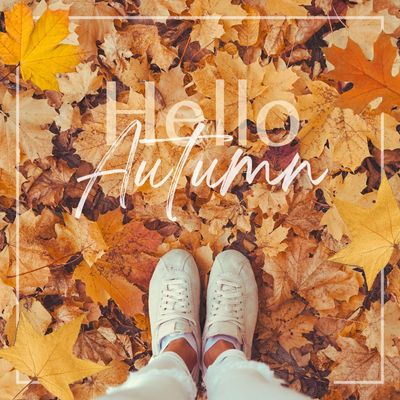 AUTUMN Collection