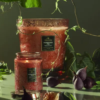 Large Jar Candle - Forbidden Fig