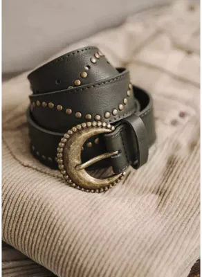 Belt Danita