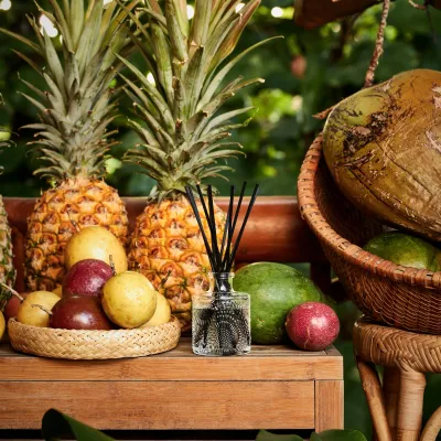 Napali Passion Fruit 3-wick Candle