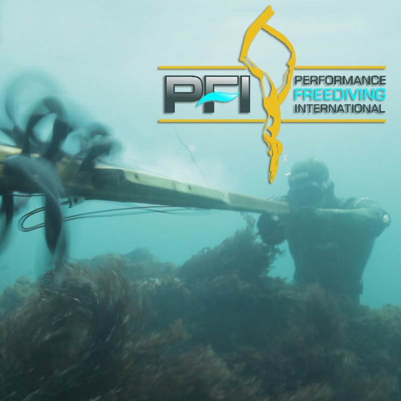 PFI Freediver course + Coastal Hunting (Los Angeles), March 7 - 10