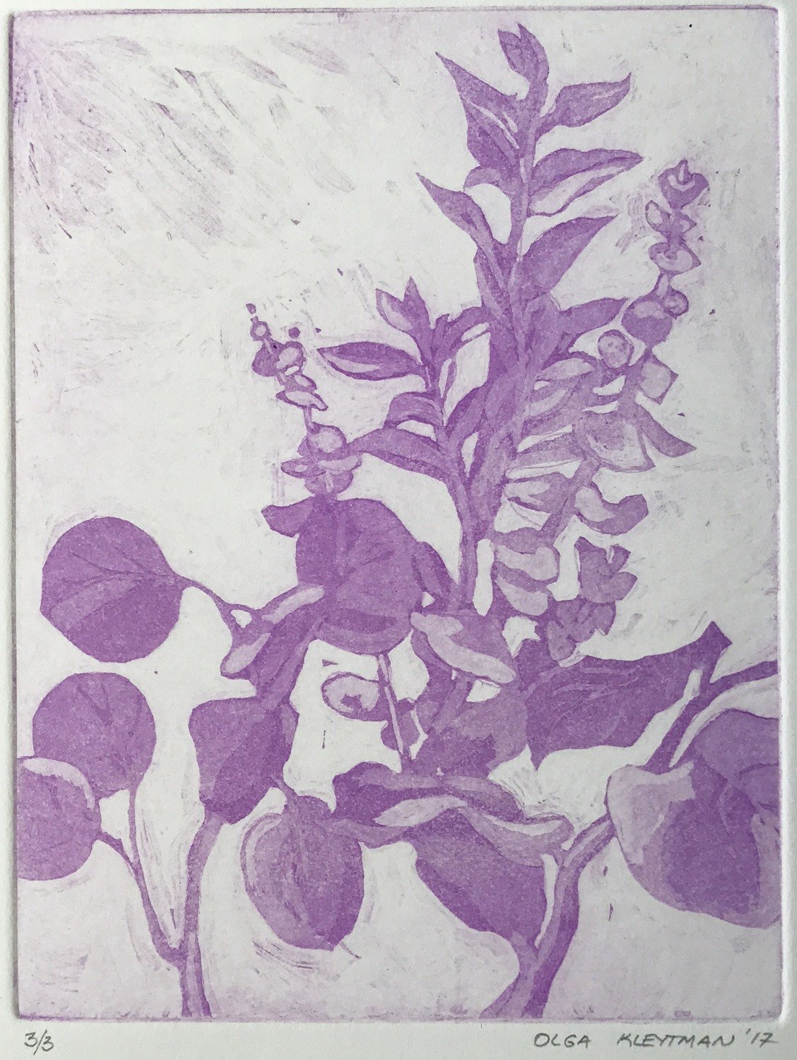 Garden - Lilac - 3